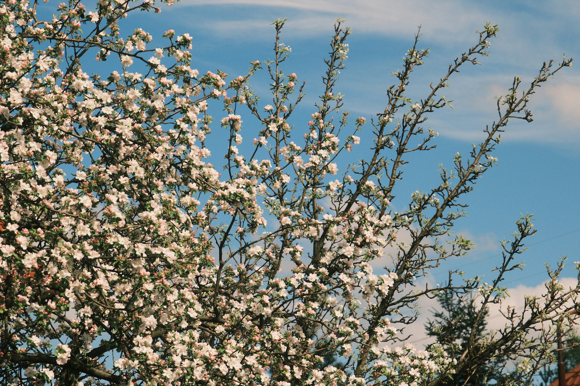 Trudniejszy rynek najmu w 2026 roku - mieszkanie już samo nie zarabia
